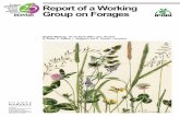 Report of a working group on forages · iv REPORT OF A WORKING GROUP ON FORAGES: EIGHTH MEETING Status of the national forage crop collections in Hungary 54 Lajos Horváth and Attila