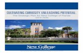 CULTIVATING CURIOSITY. UNLEASHING POTENTIAL....Cultivating Curiosity. Unleashing Potential. About the Plan In 2016, the BOG and the state of Florida invested in New College, pledging