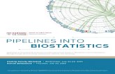 PIPELINES INTO BIOSTATISTICS - Harvard University · PIPELINES INTO BIOSTATISTICS Introduction In 1994, the Department of Biostatistics at Harvard T.H. Chan School of Public Health