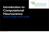 Introduction to Computational Neuroscience · Computational Neuroscience Lecture 6: Single neuron models sábado, 1 de octubre de 16. Applications Cognitive Models Analyses Basics