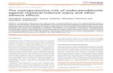 The neuroprotective role of endocannabinoids against ... neuroprotective role of... · The neuroprotective role of endocannabinoids against chemical-induced injury and other adverse