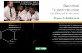 Bacterial Transformation - Paulding County School District...Calculating Transformation Efficiency Example: – 50 ng of plasmid DNA is transformed into a final transformation volume