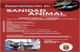 SANIDAD ANIMAL - Unipamplona · ANIMAL SANIDAD Facultad de Ciencias Agrarias Registro caliﬁcado otorgado por el Ministerio de Educación Nacionalsegún resolución 8802 de 27 de