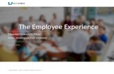 The Employee Experience...The Employee Experience 10 How We Define EX The employee experience is the operating environment for your people. If this environment is properly structured,