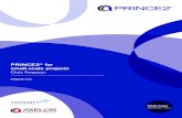 PRINCE2 for small-scale projects€¦ · PRINCE2® for small-scale projects Chris Ferguson White Paper September 2011. Contents Foreward3 Introduction4 Best Management Practice and