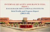 INTERNAL QUALITY ASSURANCE CELL (IQAC) · 2019-08-02 · NAAC 2013 Recommendations • More Innovative Courses in need based areas like Disaster Management • Consolidation of Inter