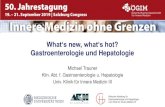 What‘s new, what‘s hot? Gastroenterologie und Hepatologie · Nach Dia - Ch. Högenauer, MUG. Targeting the JAK-STAT Signaling Pathway Kidney International. 2012 Inhibits predominantely