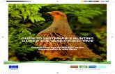 GUIDE TO SUSTAINABLE HUNTING UNDER THE BIRDS DIRECTIVEec.europa.eu/.../hunting/docs/hunting_guide_en.pdf · Hunting is an activity that provides significant social, cultural, economic