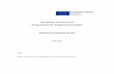 European Social Fund national eligibility rules V5 · 2017-07-11 · 2.1 This document sets out the National Eligibility Rules for the 2014-2020 ESF Programme in compliance with Article