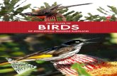 FIELD GUIDE TO BIRDS - Urban Bushland Council WA...BIRDS FIELD GUIDE TO OF INGLEWOOD TRIANGLE BUSHLAND 2018 Calyptorhynchus latirostris Carnaby’s black Cockatoo Calyptorhynchus banksii