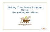 Making Your Foster Program Thrive: Preventing Mt. Kitten · 2020-05-07 · • Orphaned kittens are majority of fosters • Specific guide for kittens very helpful • Important topics