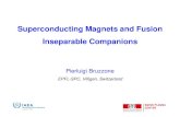 Superconducting Magnets and Fusion Inseparable Companions · Fusion is realized only by superconducting magnets (enabling technology), but electricity can be obtained by other conventional