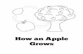  · An apple starts from a seed . Plant the seed in soil and give it water, Soon it will sprout a baby tree, The tree will grow big and strong, One day the tree will grow apples of