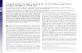 Target identification using drug affinity responsive …Target identification using drug affinity responsive target stability (DARTS) Brett Lomenicka, Rui Haoa, Nao Jonaia, Randall