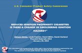 REDUCED IGNITION PROPENSITY CIGARETTES: IS THERE A … · Phase II – FLB and No Smoldering Data 429 of 864 tests did not smolder Many cigarettes still demonstrated FLB on Substrates