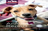 2017 Annual Report - Baypath Humane · Holiday Giving $136,652 For the first time, Baypath participated in #GivingTuesday, an international day of giving, on the Tuesday following