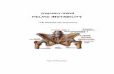 PELVIC INSTABILITY - Academie Qing-Bai · Chapter 2 Anatomy of the female pelvis 10 2.1 Physiology and pathofysiology during pregnancy 10 2.2 Relationship between the pelvis and the