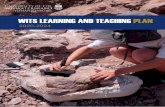 WITS LEARNING AND TEACHING PLAN · LEARNING AND CHING LAN 3 TABLE OF CONTENTS 1. INTRODUCTION 1.1 Where we have come from, where we are heading 1.2 The Wits graduate 1.3 Our vision