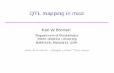 QTL mapping in mice - Biostatistics and Medical Informaticskbroman/talks/qtl_nz.pdf · 2003-01-14 · Interval mapping (IM) Lander & Botstein (1989) Assume a single QTL model. Each