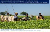 Lessons learned: working towards living wages in the ... · Thriving Sustainable Tea Industry in Malawi Costed options to improve nutritional value of midday meal for workers HR assessment