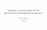 Assessment of The breast After Neoadjuvant Treatment - Moffitt Cancer … · 2018-08-16 · • How Much Information Do We Really Need After Neoadjuvant therapy for Breast Cancer.