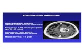 Glioblastoma Multiforme - Columbia University · 2015-10-05 · glioblastoma multiforme" 3! 6! 9! 12! 15! 18! 21! 24! 28! 32! 36! 40! 44! Pediatric Brain Tumors" Frequency : 3000