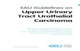 Upper Urinary Tract Urothelial Carcinoma · 2018-06-06 · recommendations for the management of urothelial carcinoma of the upper urinary tract (UTUC). Separate EAU guidelines documents