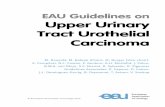 Upper Urinary Tract Urothelial Carcinoma...UPPER URINARY TRACT UROTHELIAL CARCINOMA - UPDATE MARCH 2020 3 7. DISEASE MANAGEMENT 15 7.1 Localised non-metastatic disease 15 7.1.1 Kidney-sparing