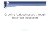 Growing Agribusinesses through Business Incubation · Business Incubation A selective, comprehensive service offering that aims to accelerate the growth of early-stage SMEs 3 Help