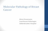 Molecular Pathology of Breast Cancer · 2018-12-06 · breast cancer –Intrinsic Subtypes Prat et al., JNCI 2014;106(8). • Heterogeneity within HER2 positive disease, largely driven