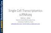 Single Cell Transcriptomics scRNAseq · The sequencing of the transcriptomes of single-cells, or single-cell RNA-sequencing, has now become the dominant technology for the identification