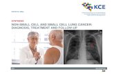 Non-Small Cell and Small Cell Lung Cancer: Diagnosis ... · 2013 kce report 206cs good clinical practice synthesis non-small cell and small cell lung cancer: diagnosis, treatment