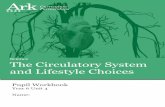 Science The Circulatory System and Lifestyle Choices 6... · What is the circulatory system? Key Knowledge Key Vocabulary The circulatory system consists of three independent systems