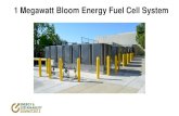 1 Megawatt Bloom Energy Fuel Cell System · Bloom Energy Customer Economic Payback Model Capacity Equipment & installation costs Cost of gas Cost of electricity Federal and State