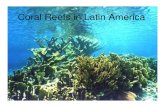 Coral Reefs in Latin America - University of Texas at Dallaspujana/latin/PDFS/Lecture 20 - reefs.pdf · Coral Reefs: Definitions The primary criteria for classification as a reef