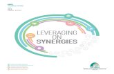 LEvERAGING ON SYNERGIES - MNRB · 2016-08-08 · LEVERAGING ON SYNERGIES ... 06 20 04 Implementation of new levels of VC, Retrocessions and other market reinsurance arrangements.