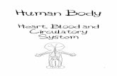 Heart Blood and Circulatory System A - Simple Living. Creative … · 2019-07-24 · Heart Your heart is a double pump with four chambers: • the right atrium • the left atrium