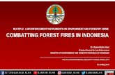 MULTIPLE LAW ENFORCEMENT INSTRUMENTS ON ...pesforum.org/docs/2019/D1N_04_Sani.pdfMULTIPLE LAW ENFORCEMENT INSTRUMENTS ON ENVIRONMENT AND FORESTRY CRIME COMBATTING FOREST FIRES IN INDONESIA