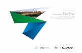 braZIlIan CeMent Industry · bRazIlIaN CEMENT INDUsTRY: a FOUNDaTION FOR THE CONsTRUCTION OF DEVElOPMENT 13 The brazilian Portland Cement association (CP) was created in 1936 with