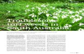 Troublesome turf weeds in South Australiaarchive.lib.msu.edu/tic/bigga/gki/article/2010jan41.pdf · 2011-09-23 · of South Australia intrigued about what weeds I might find growing