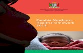Newborn Health Care Scale-up Framework: March 2013 New Born... · This Newborn Health Scale-up Framework articulates the context of the implementation of newborn health interventions