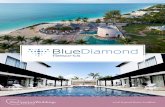 2016 Preferred Partner LookBook 1 - Destination Weddings€¦ · Destination Spotlights Blue Diamond Resorts CHIC by Royalton Luxury Resorts Memories Grand Bahama Beach & Casino Resort