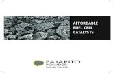 AFFORDABLE FUEL CELL CATALYSTSPPCÕs products include precious-metal free catalysts and ultra low load platinum catalyst supports. In addition, PPC will design and develop custom catalysts
