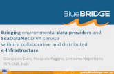Bridging environmental data providers and DIVA service ...€¦ · Bridging environmental data providers and SeaDataNet DIVA service within a collaborative and distributed e-Infrastructure