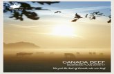 CANADA BEEF · innovation and commercial opportunity, Canada Beef is continuously working to: align with partners in the value chain and end-use customers to drive the brand; go-to-market