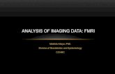 ANALYSIS OF IMAGING DATA: FMRI - CCTST Altaye Oct 2012 BERD.pdfANALYSIS OF IMAGING DATA: FMRI • What do we want to measure • Interested in neural activity of single neurons or