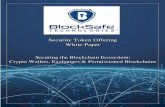 Security Token Offering White Paper - BlockSafe Tech · This whitepaper does not constitute a solicitation to purchase or sell securities ... Overview Why BlockSafe Technologies ...