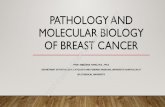 Pathology and molecular biology of breast cancer · Variability in hormone and growth factor receptor expression in primary versus recurrent, metastatic, and post-neoadjuvant breast