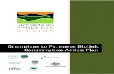 Grampians to Pyrenees Biolink Conservation Action Planconservationcorridor.org/cpb/Bickford_2016.pdf · Pyrenees Biolink project. This Strategic Plan arose from the recognition that: