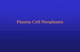 Plasma Cell Neoplasms - HemePathReviewhemepathreview.com/WHO-Review/Chapter6-Bcell/MM-Plasmacy... · 2016-08-10 · Plasma cell neoplasms: definition •Immunosecretory disorders